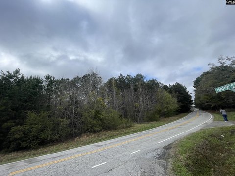 LOTS AND ACREAGE, Chapin, SC