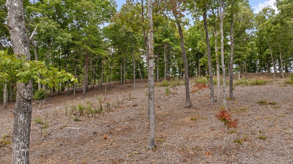 Picture 19