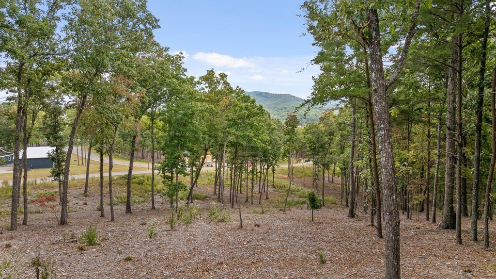 Picture 14