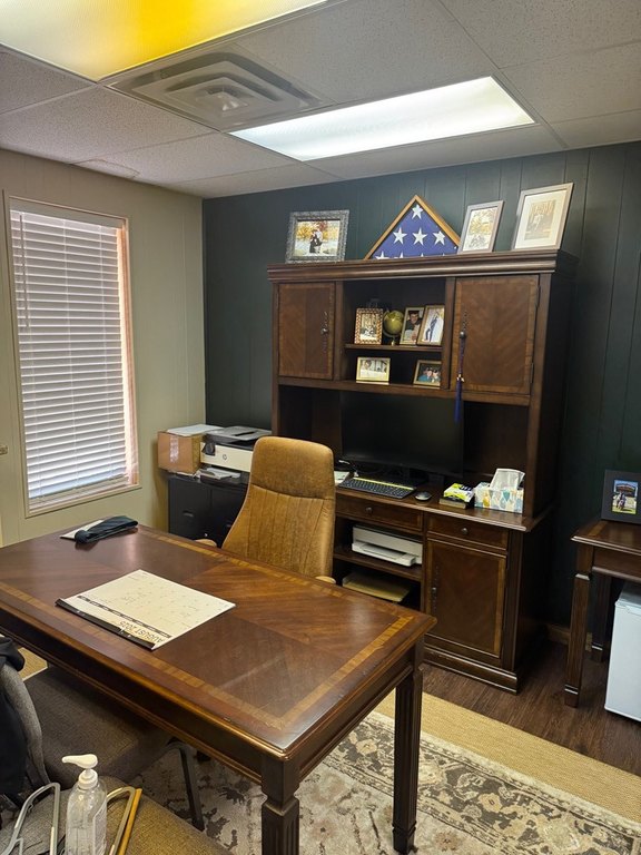 Picture 6