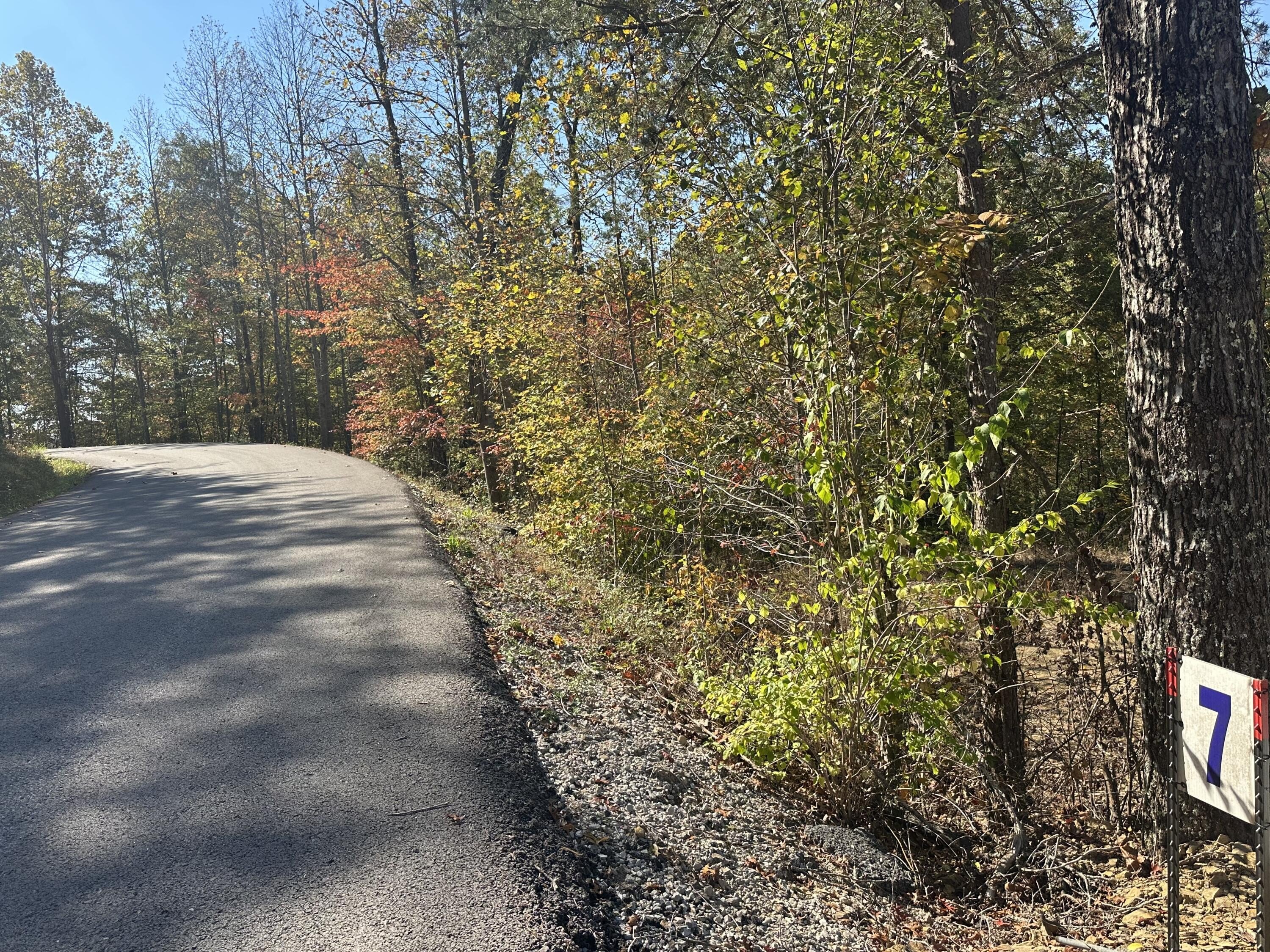 Wooded Lot Near Wood Creek