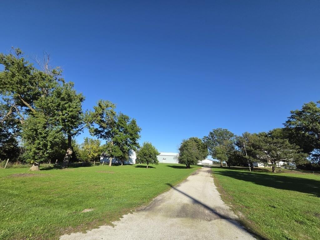 Picture 10