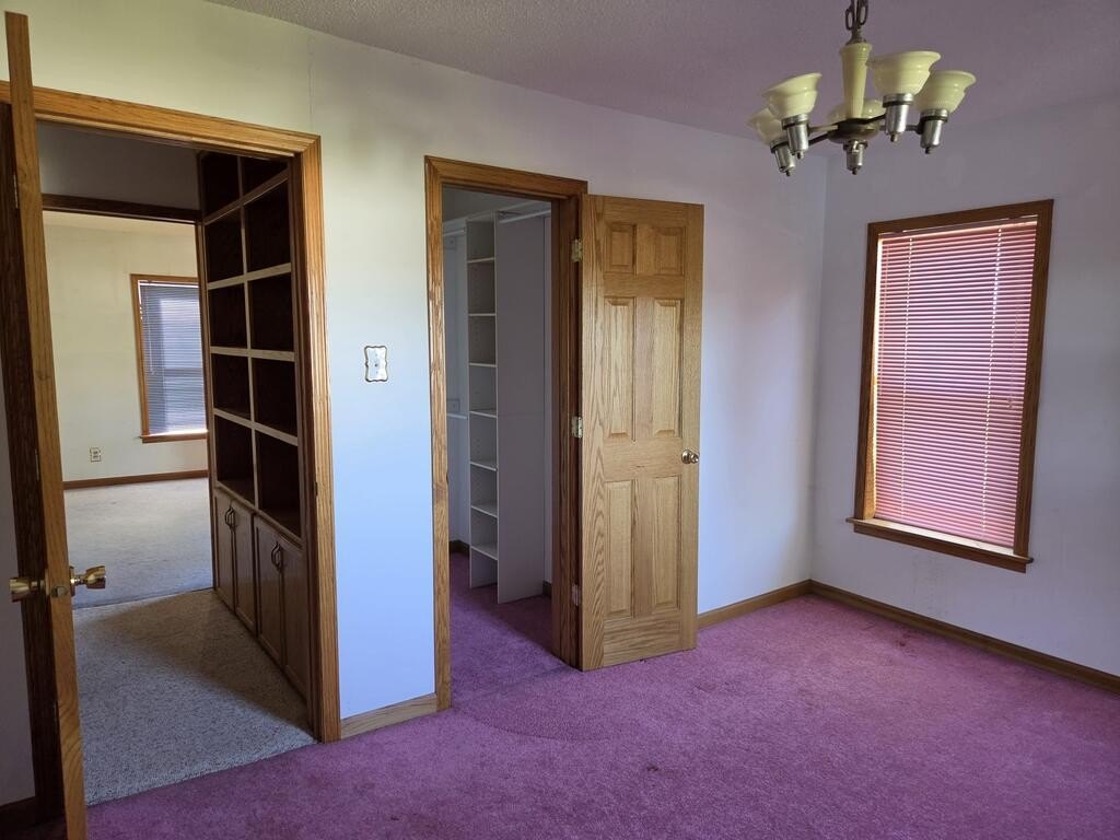 Picture 24