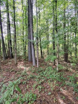 Land, Winston, GA