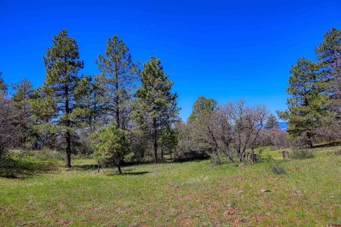Mountain View Ranch Land