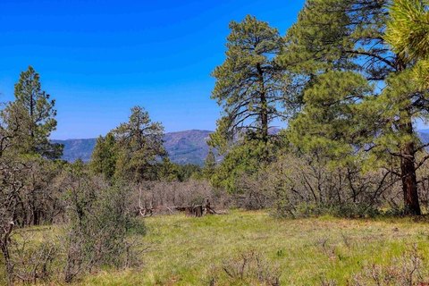 Land in Pagosa Springs, CO