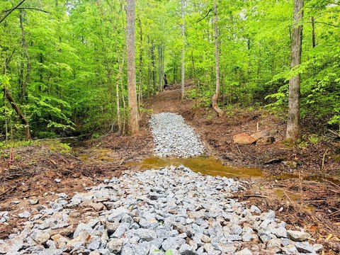 Secluded Land with Timber Potential
