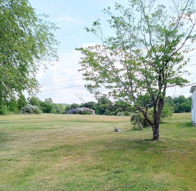 Picture 19