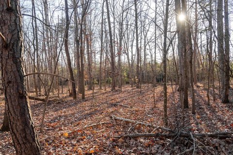 Residential Land in Luray, VA