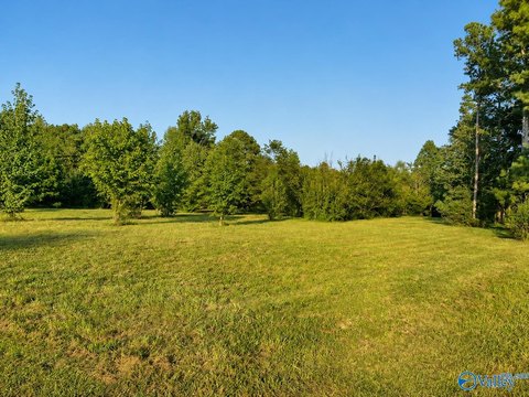 Land, Guntersville, AL