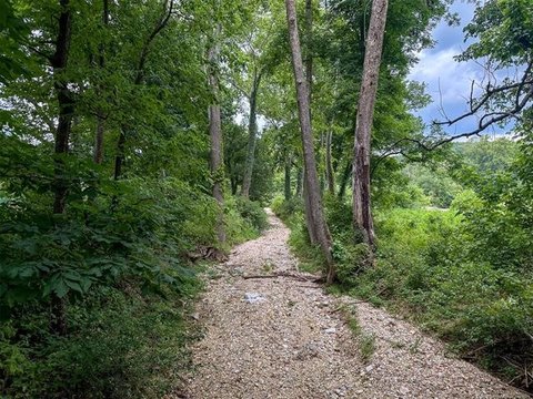 Unique Land with Creek and Springs