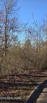 Wooded Lot in Madisonville, TN