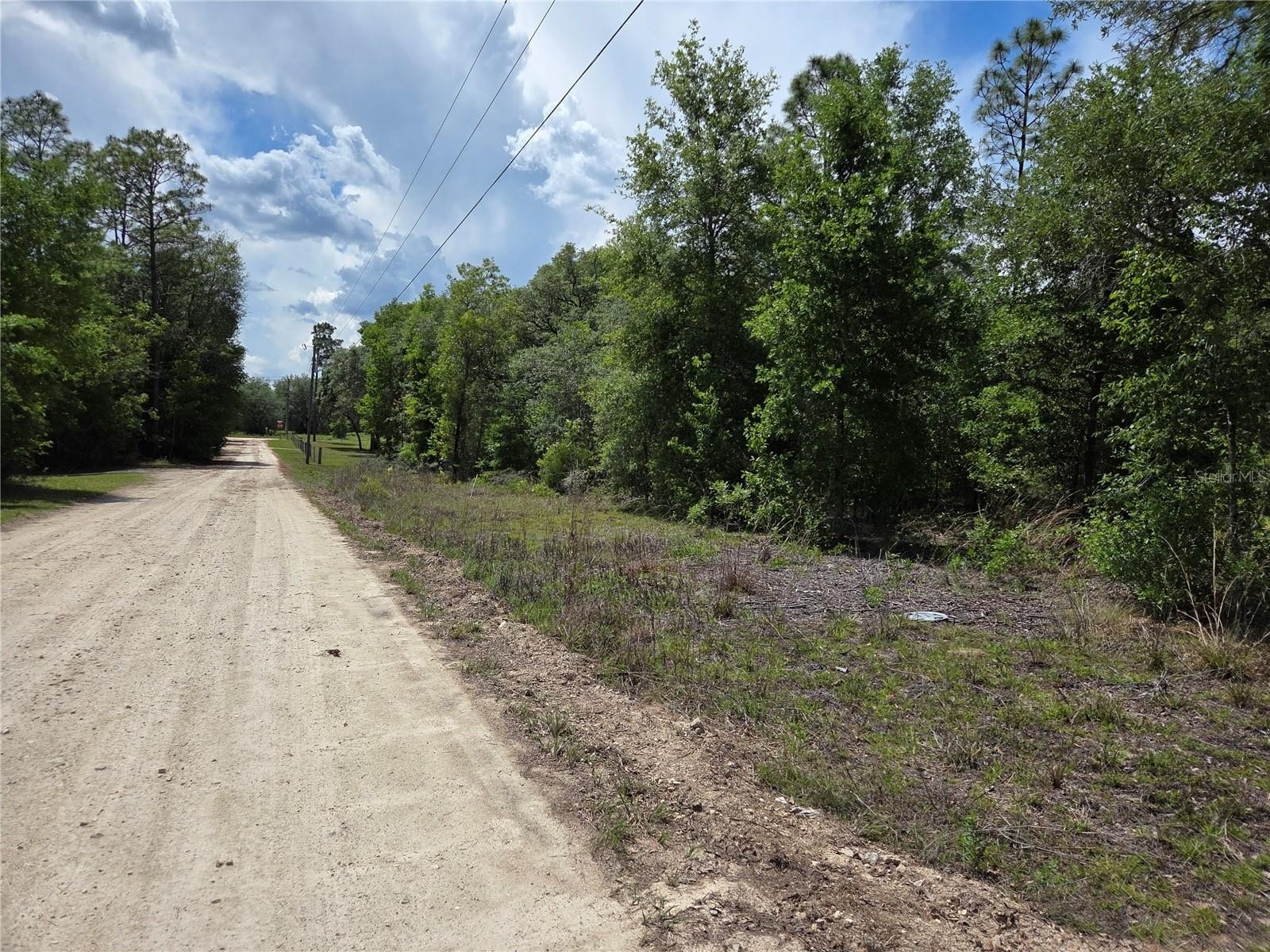 Residential Acres in Bronson, FL
