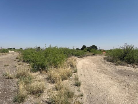 Residential Lots in Pecos, TX
