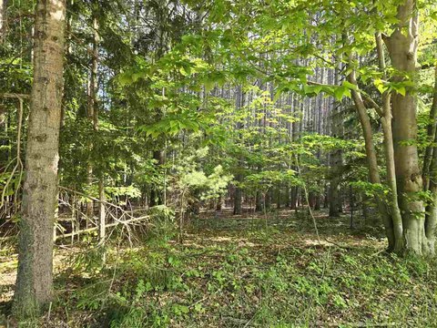 LAND - East Jordan, MI