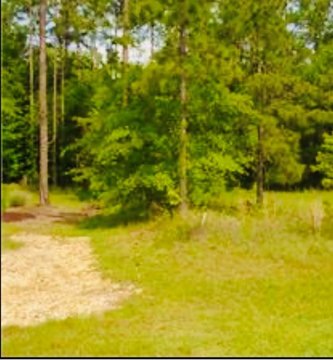 LAND - Moultrie, GA