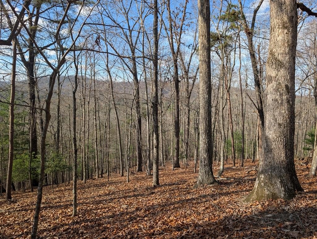 Mountain View Building Lot