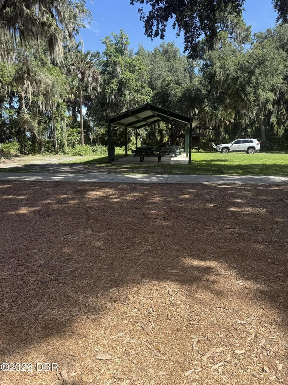 Picture 28