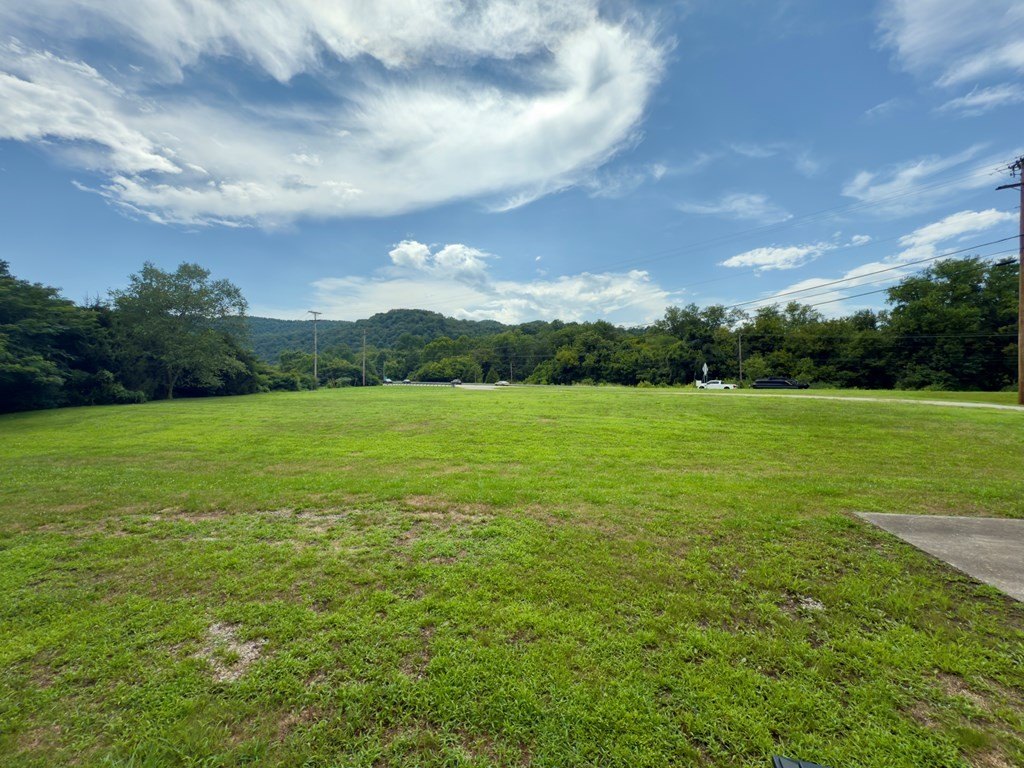 Picture 10