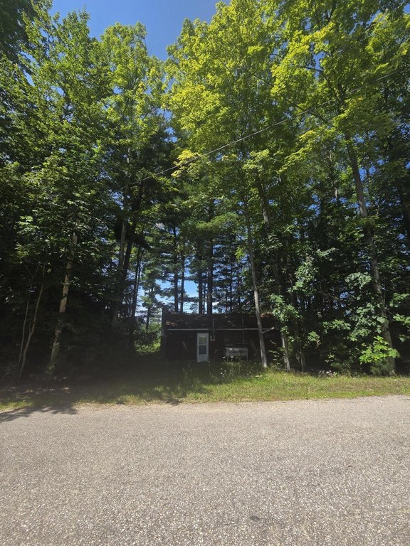 Picture 6