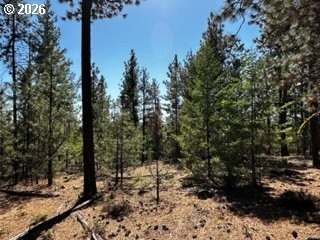 Land, Goldendale, WA