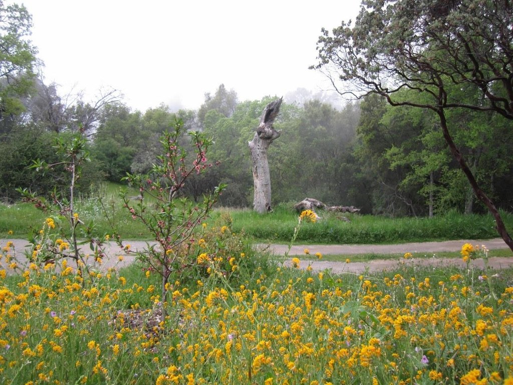 Picture 37