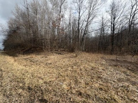 Wooded 1.4-Acre Corner Lot