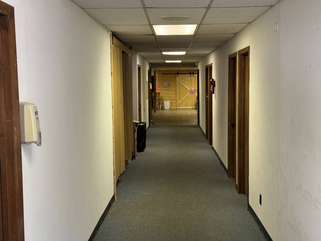 Picture 19
