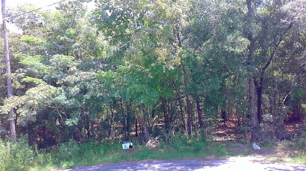 Picture 4
