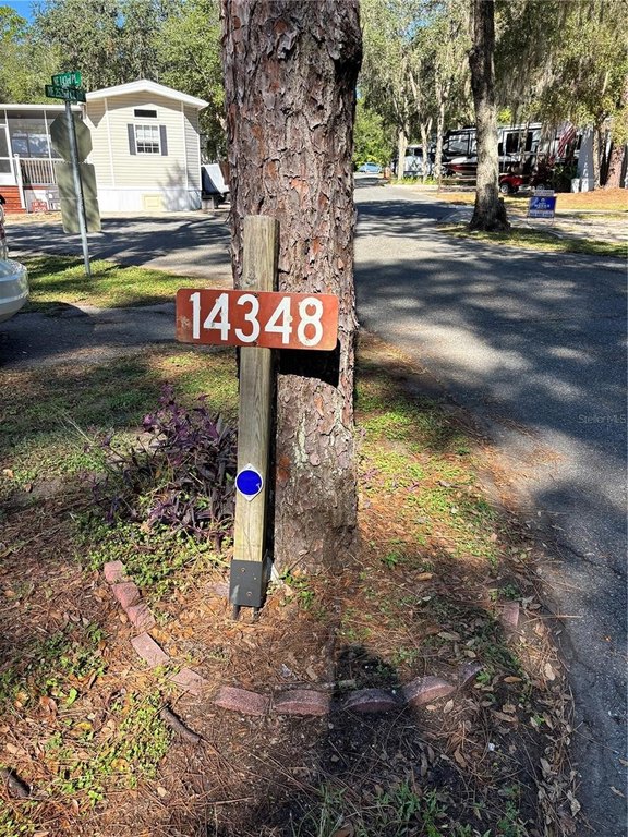 Picture 45