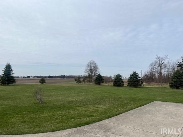 Picture 6