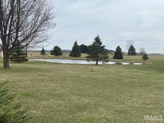 Picture 3