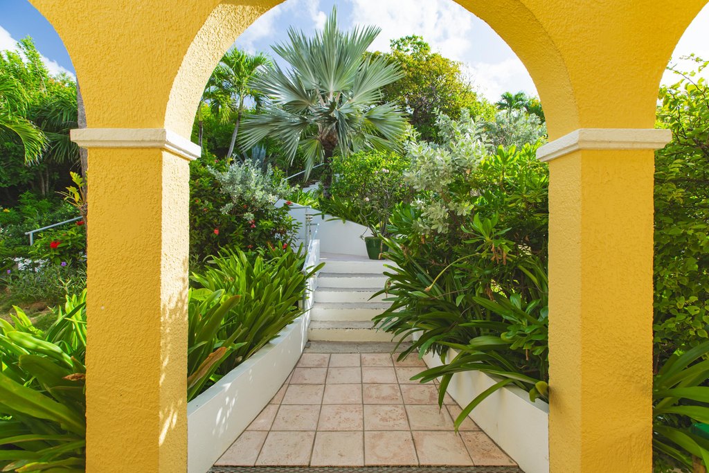 Picture 9
