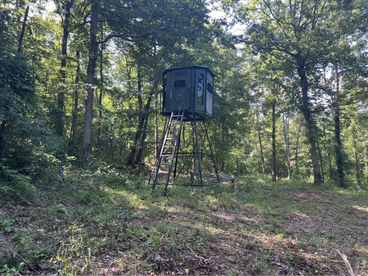 Secluded Hunting Land with Timber