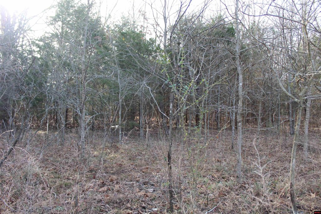 Picture 4
