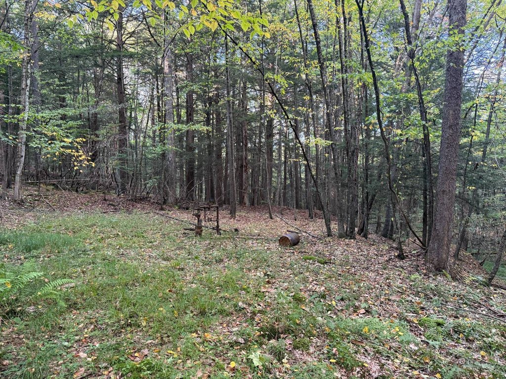 Picture 33