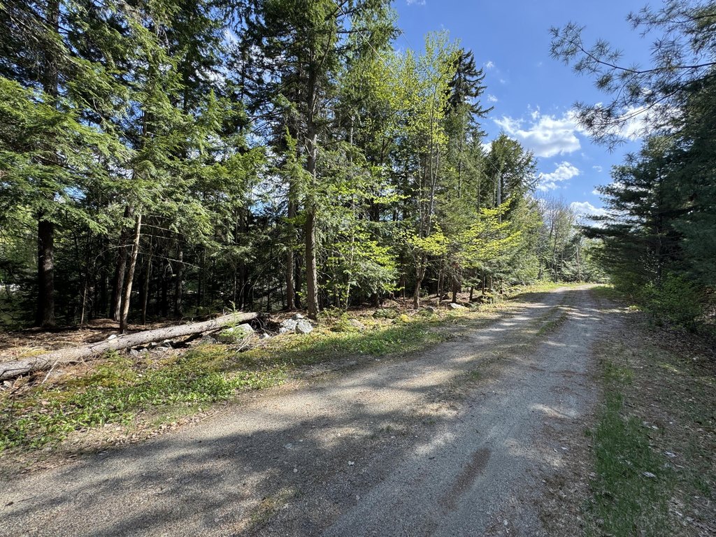 Picture 25