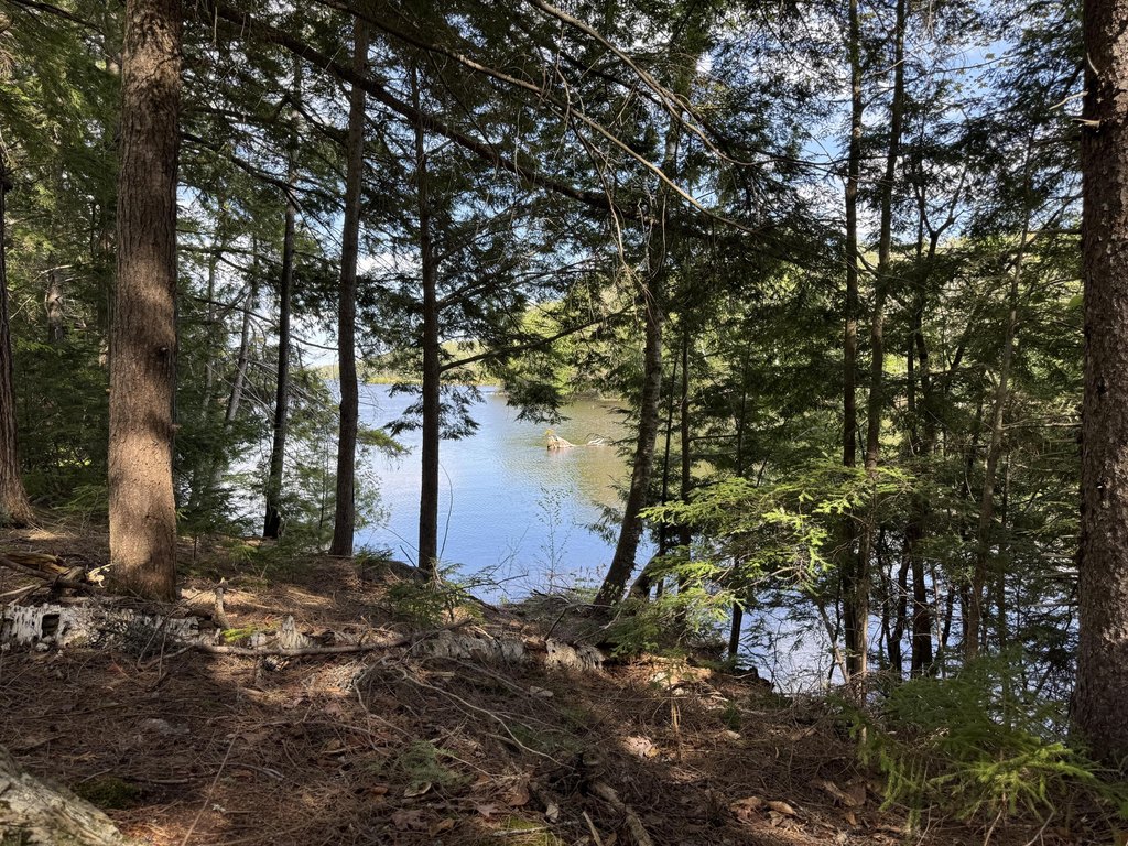 Picture 19