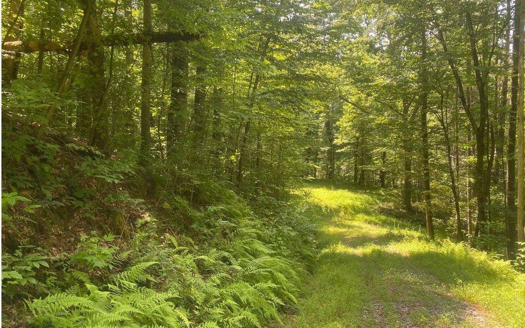 Picture 7