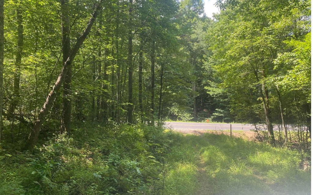 Picture 8