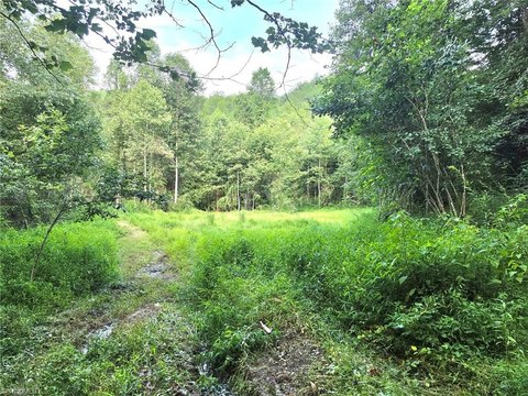 Mountain Land