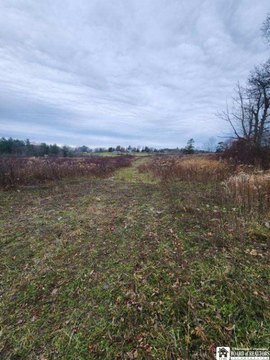13.3 Acres in Kiantone