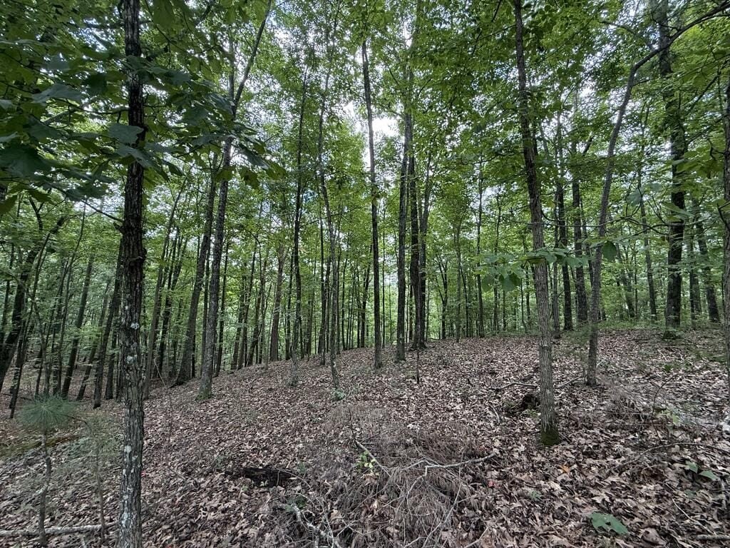 Picture 9