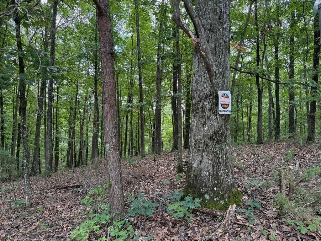 Picture 8