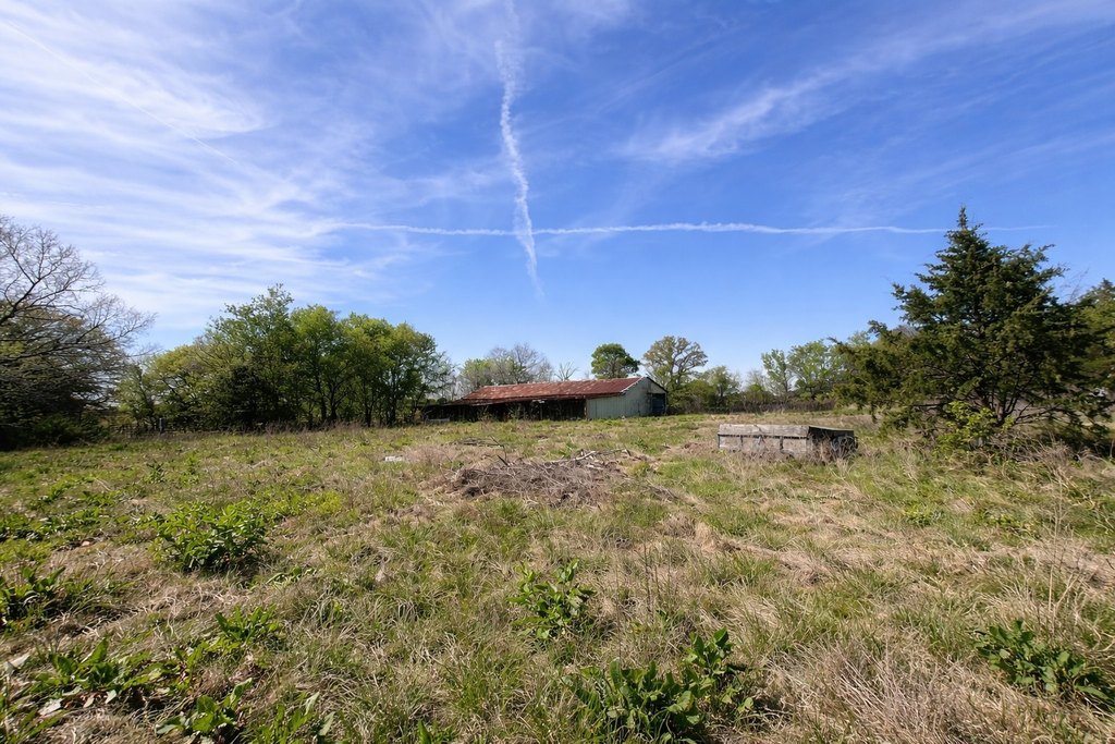 Picture 6