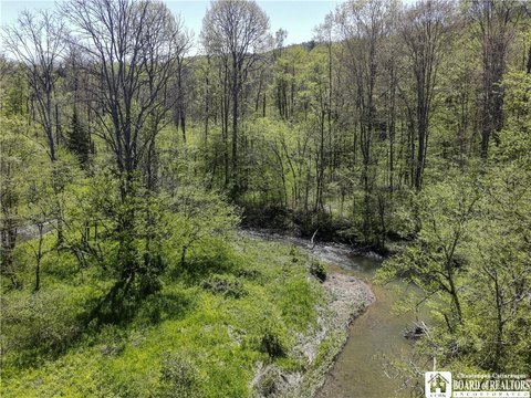 49.98 Acres Wooded Land