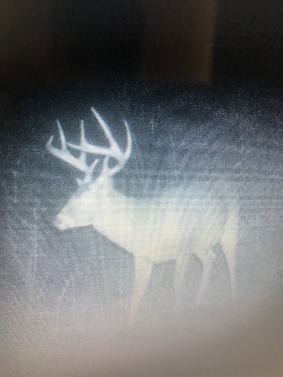 Picture 12