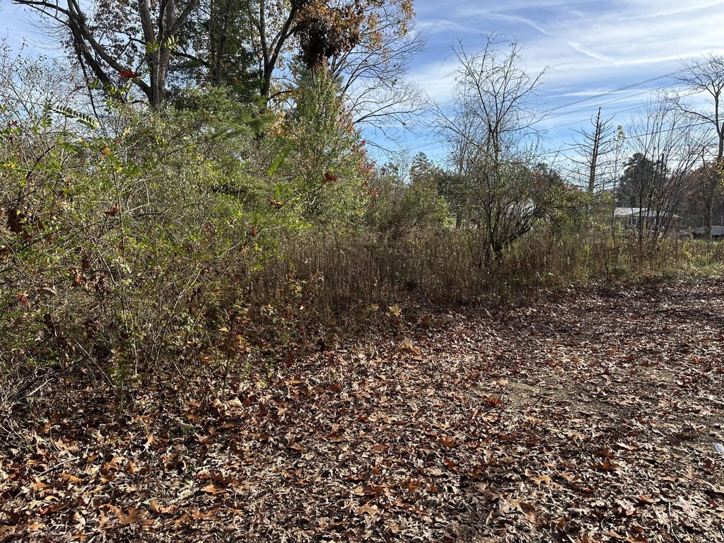 Picture 18