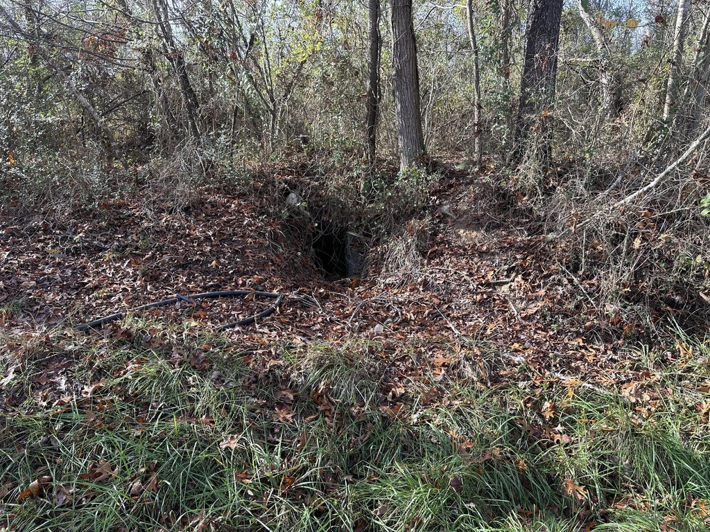 Picture 27