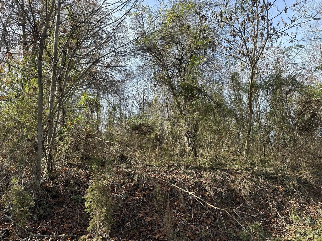 Picture 25